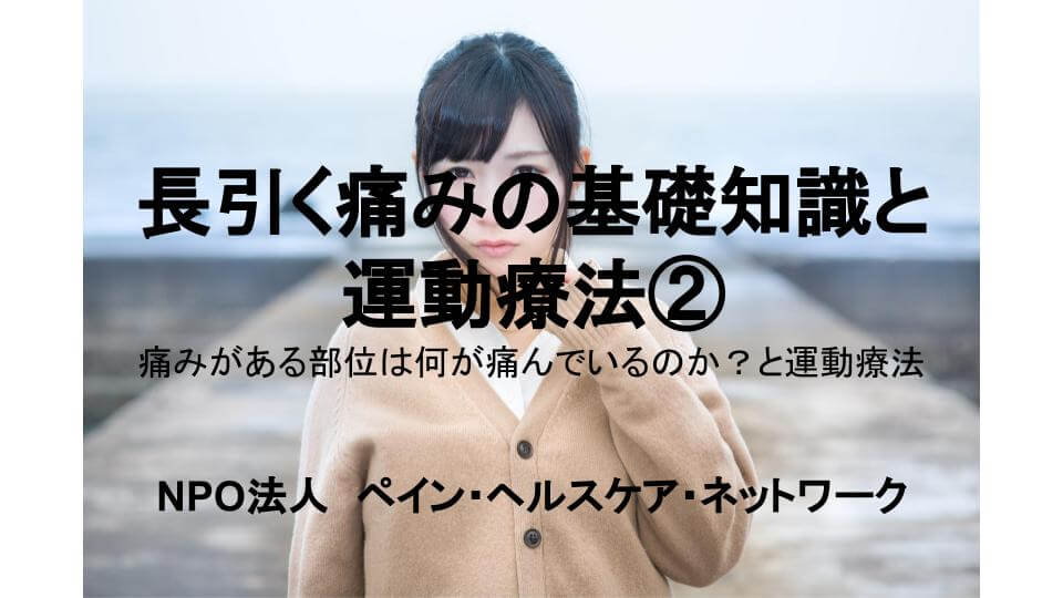 好評 長引く痛みの基礎知識 運動療法その２開催決定 特定非営利活動法人 ペイン ヘルスケア ネットワーク